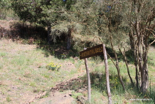 nte Egitto-29-04-2023 09-51-03